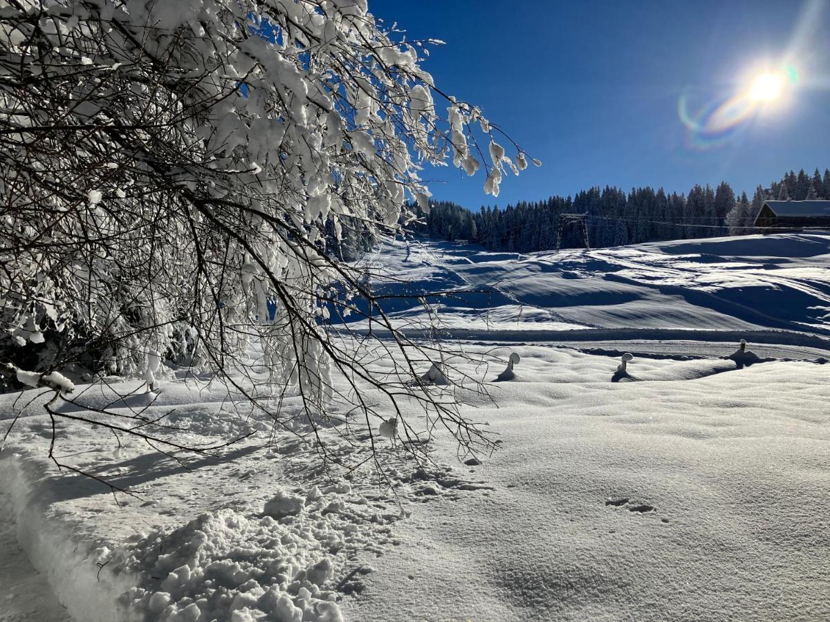 Ferienwohnung Bergblick Am Rande Der Wildnis Sibratsgfall Екстер'єр фото